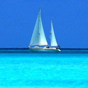 Meet your Posher, Philip